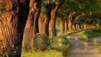 欧洲av亚洲av日韩av尤物网-探索成人内容平台的全球视角，欧洲、亚洲与日韩AV的多元文化